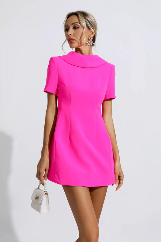 Jacqueline Pembe Fiyonklu Mini Elbise